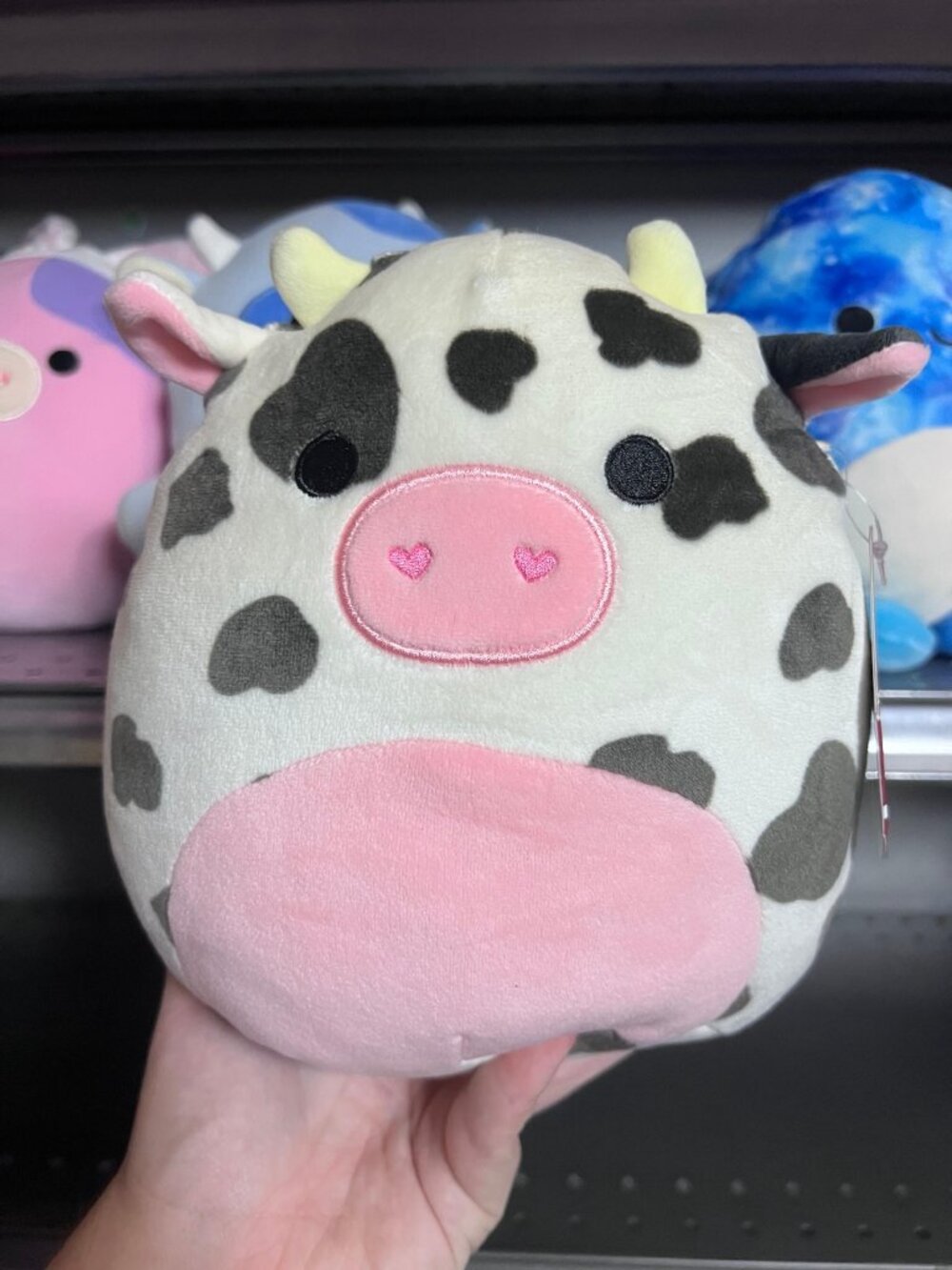 8” | Valentine’s Day | Colin the Cow Squishmallow – NWT